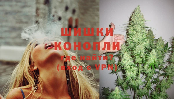 не бодяженный Белокуриха