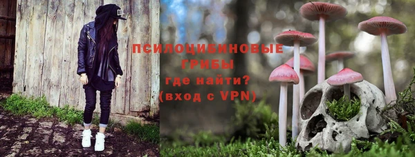 крисы Белоозёрский
