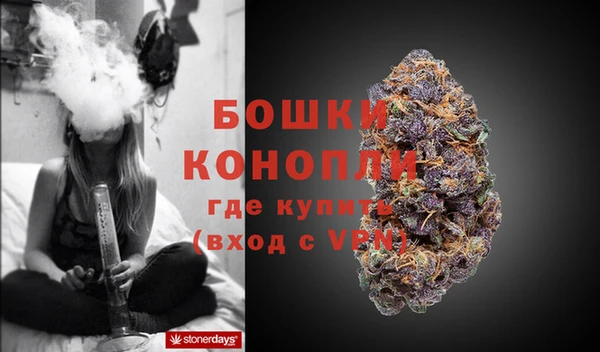 не бодяженный Белокуриха
