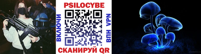 Псилоцибиновые грибы GOLDEN TEACHER  купить  цена  Нарткала 