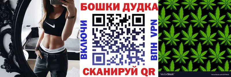 Бошки Шишки семена  даркнет сайт  Нарткала 
